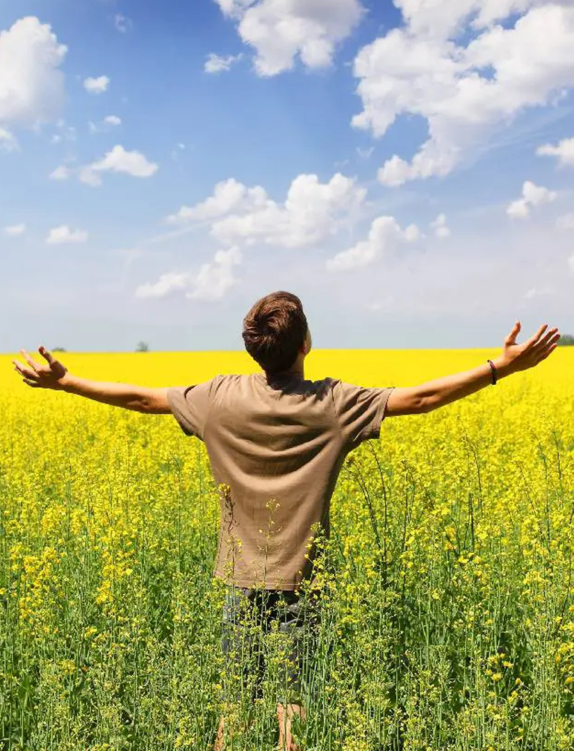 Person standing with arms outstretched in a yellow flower field under blue sky.
