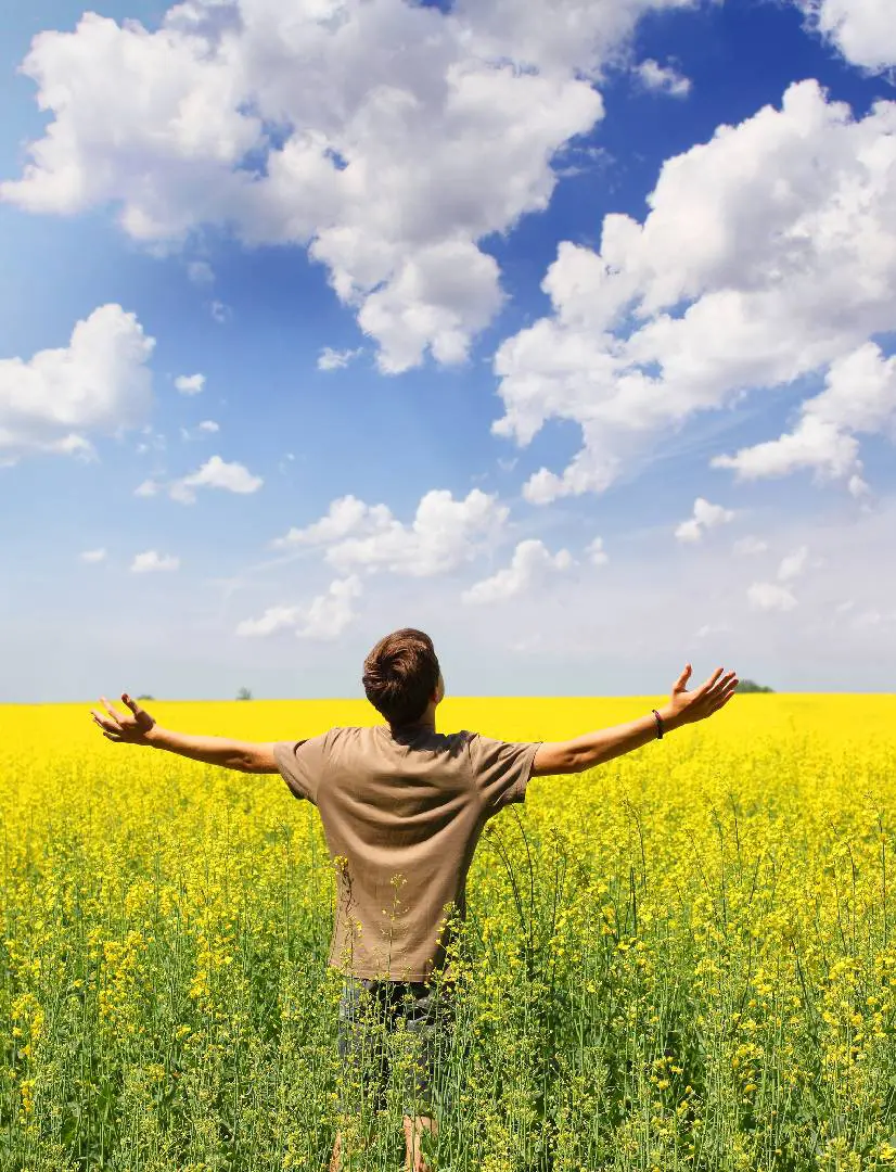 Person joyfully stretching arms in a vibrant yellow field under a blue sky.