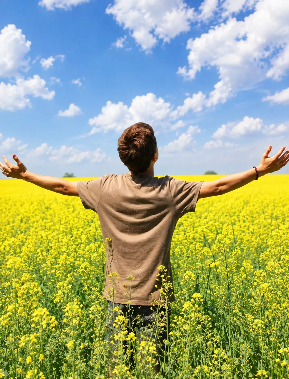 Embracing the Endless Yellow Field